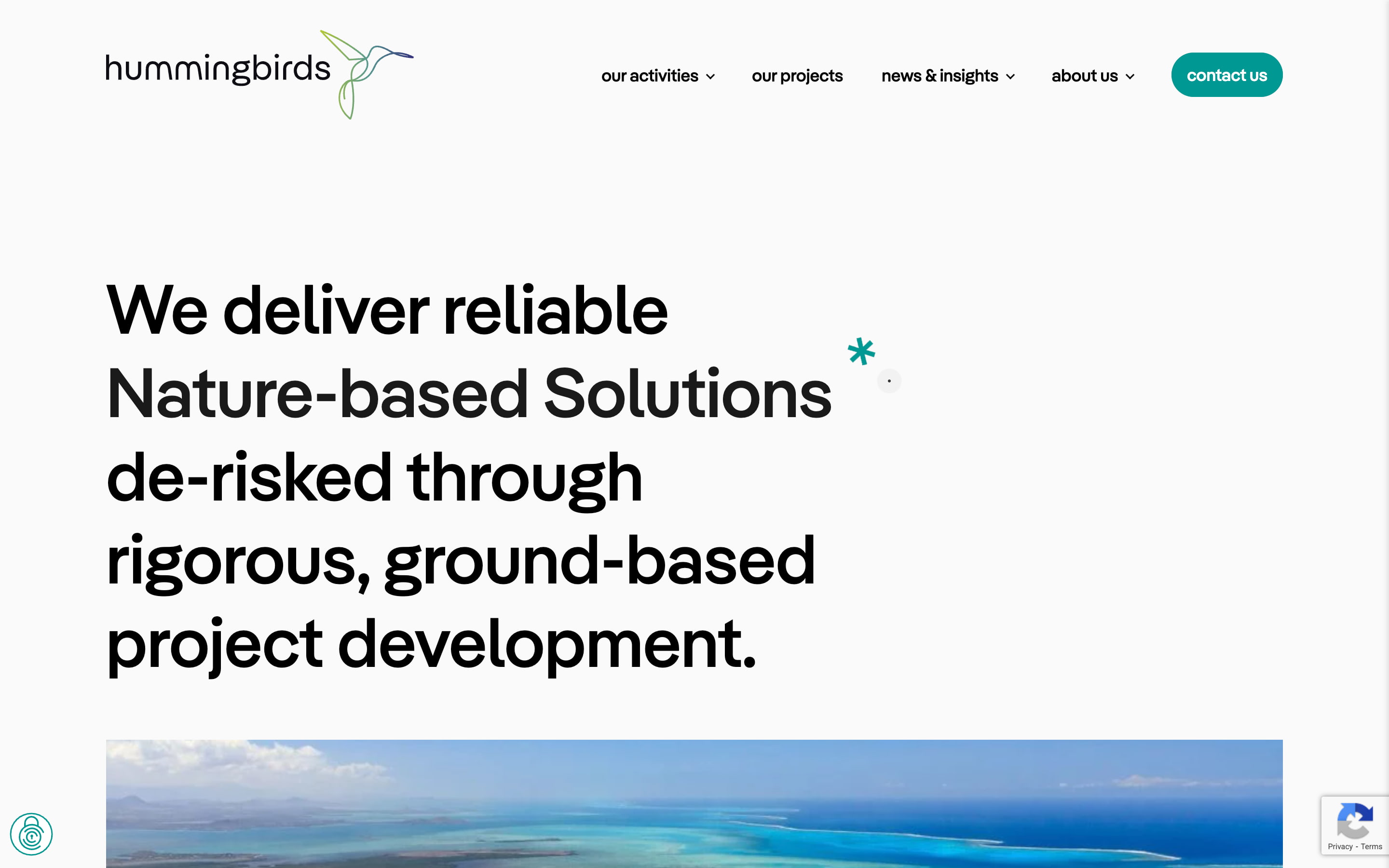 Screencapture hummingbirds eu 2026 03 12 featured image