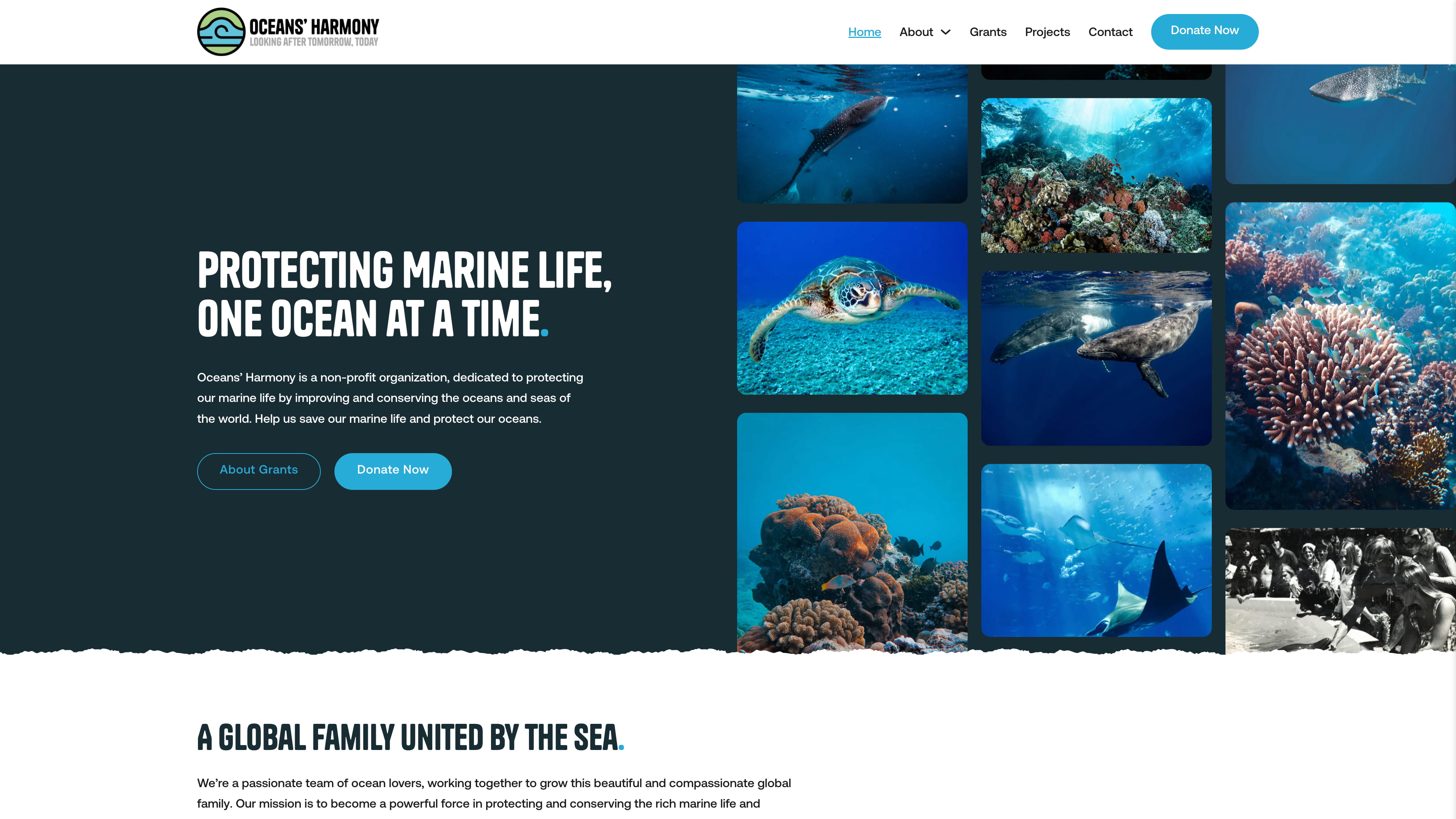 Screencapture oceansharmony org 2026 03 17 featured image