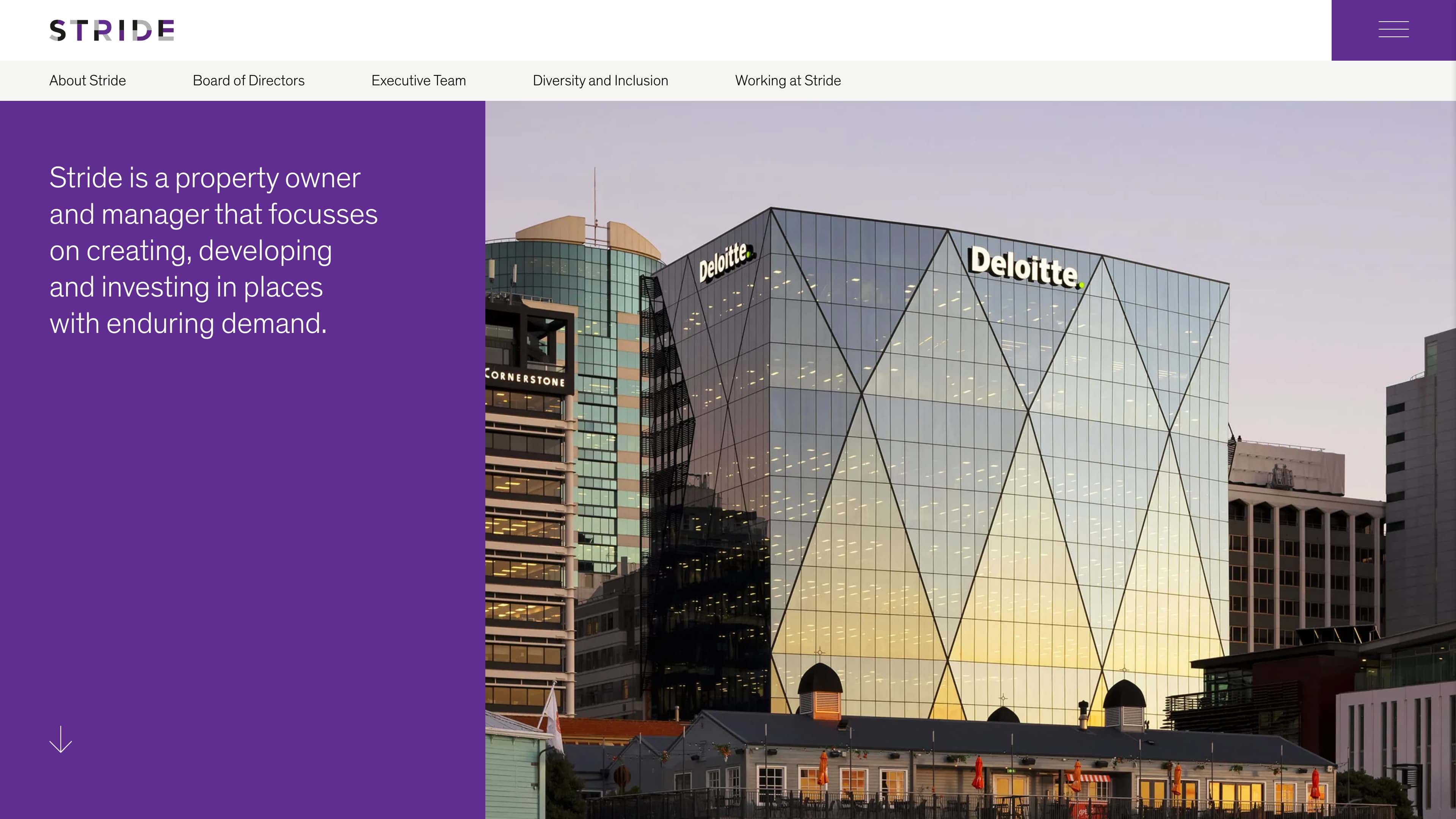 Strideproperty.co.nz featured image
